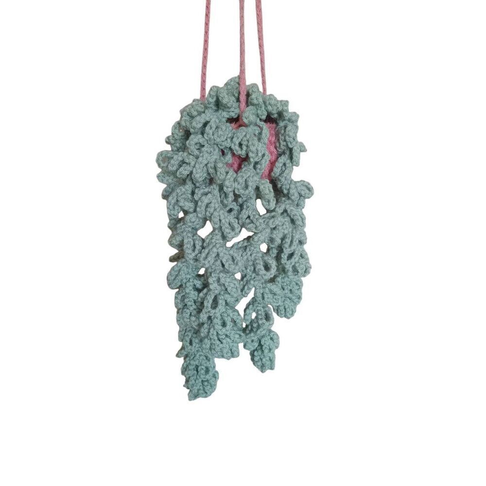 Handmade Crochet Sage Green Succulent Vine Plant Pink Hanging Pot Decoration